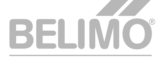 Belimo